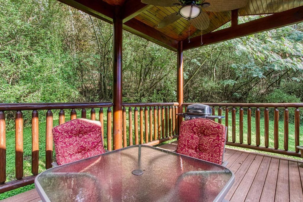 סביירוויל Papa Bear, Hot Tub, Wifi, 1089 Free Tickets Each Paid Day, Dollywood And More מראה חיצוני תמונה